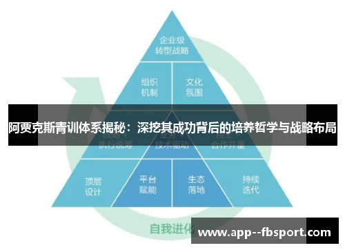 阿贾克斯青训体系揭秘：深挖其成功背后的培养哲学与战略布局